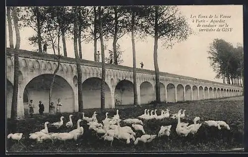 AK Gisy, Aqueduc de conduite des eaux de la Vanne avec troupeau d`oies