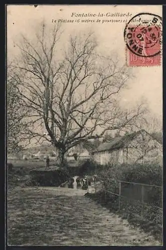 AK Fontaine-la-Gaillarde, Le Platane, 6 mètres de pourtour, et l`Abreuvoir