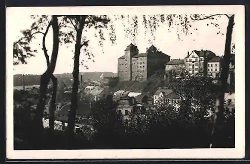 AK Jung Bunzlau-Mlada Boleslav, Hrad