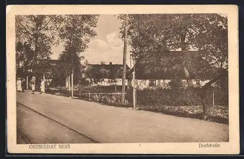AK Nest, Dorfstrasse mit Reetdach Häusern