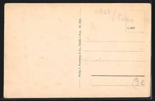 AK Nest, Dorfstrasse mit Reetdach Häusern