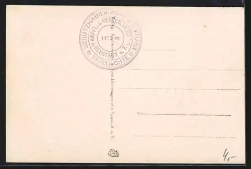 AK Neustadt (aT) / Nove Mesto Pod Smrkem, Schutzhaus und Aussichtsturm Tafelfichte