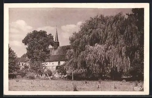 AK Collemiers /Yonne, Le Saule pleureur et l`Église