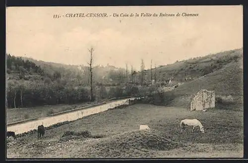 AK Chatel-Censoir, Un Coin de la Vallée du Ruisseau de Chamoux