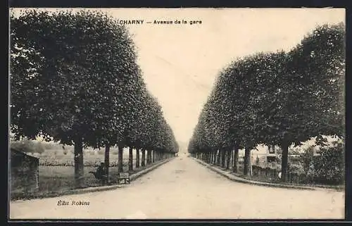 AK Charny, Avenue de la gare bordée d`arbres majestueux