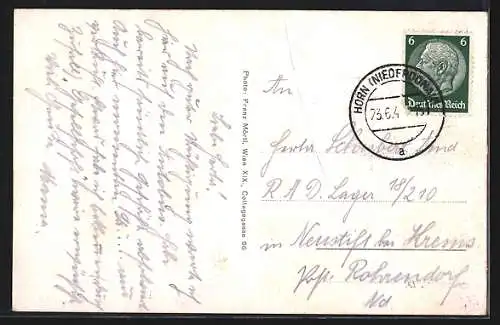 AK Horn, Alte Stadtmauer, Schloss, Gesamtansicht