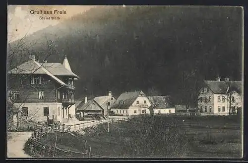 AK Frein bei Mürzsteg, Teilansicht mit Strassenpartie