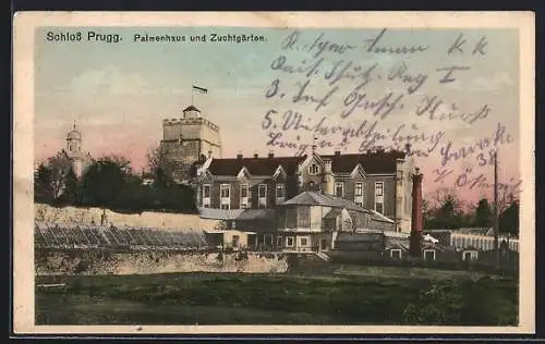 AK Bruck an der Leitha, Schloss Prugg, Palmenhaus und Zuchtgärten