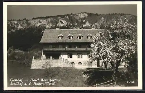 AK Stollhof ad. Hohen Wand, Gasthof und Hotel Baumgartner
