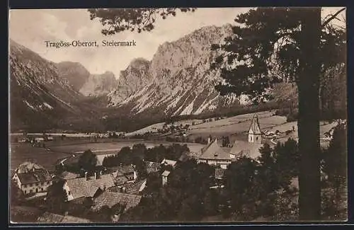 AK Tragöss-Oberort /Steiermark, Ortsansicht gegen die Berge