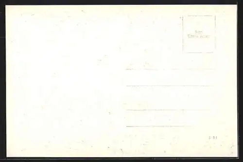 AK Waidhofen a. d. Thaya, platz mit Rathaus