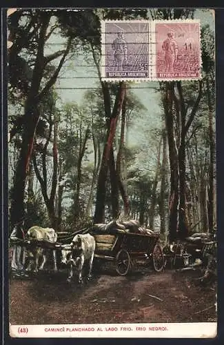 AK Rio Negro, Camino Planchado Al Lago Frio