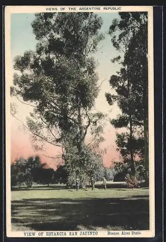 AK San Jacinto /Buenos Aires State, View of Estancia San Jacinto