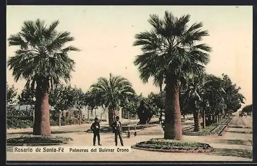 AK Rosario de Santa-Fé, Palmeras de Bulevar Orono