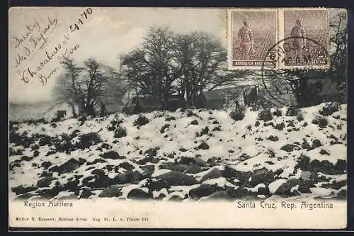 AK Santa Cruz, Region Aurifera