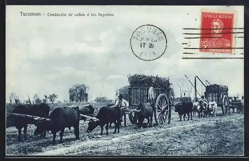 AK Tucuman, Condución de canas à los Ingenios