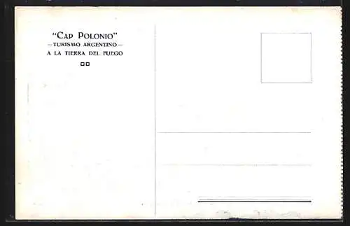 AK Trelew, Calle principal