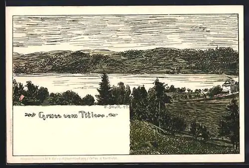 Künstler-AK Hermann Daur: Titisee, Gesamtansicht