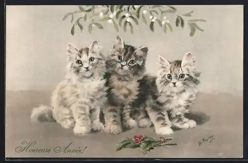 Künstler-AK M. Munk Nr. 332: Drei kleine Katzen mit Mistelzweigen, Weihnachtsgruss
