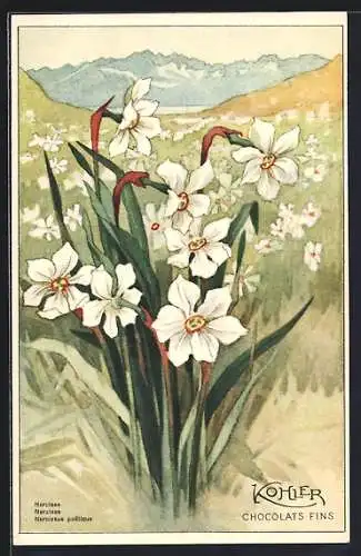 AK Kohler Chocolate, Glockenblumen