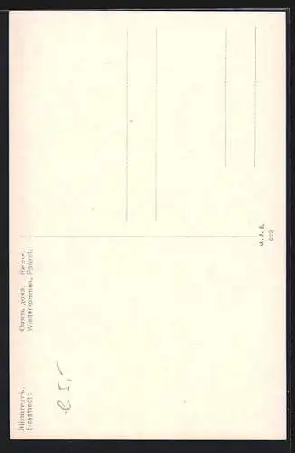 AK Verwundeter Soldat mit seiner Liebsten nach der Heimkehr