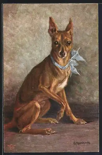 AK Zwerg-Windhund mit blauer Schleife