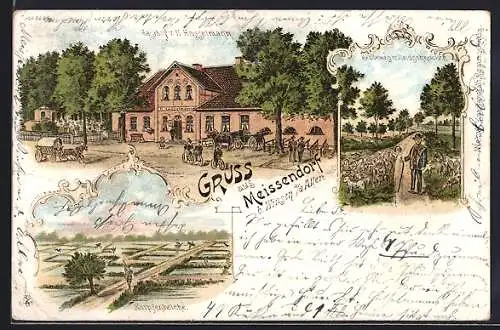 Lithographie Meissendorf b. Winsen a. d. Aller, Gasthof v. H. Hasselmann, Karpfenteiche