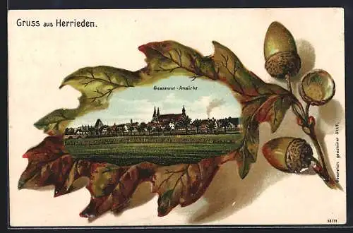 Passepartout-Lithographie Herrieden, Ortsansicht aus der Vogelschau, Eichenblatt