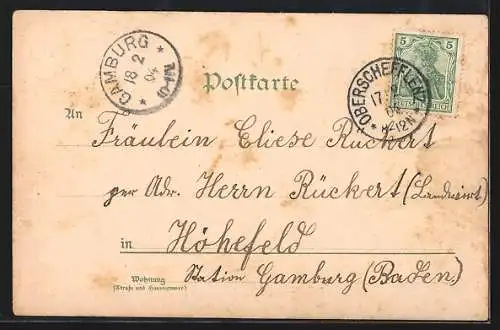 Lithographie Schefflenz, Gasthaus zur Krone & zum Engel, Schule, Rathaus, Ortsansicht