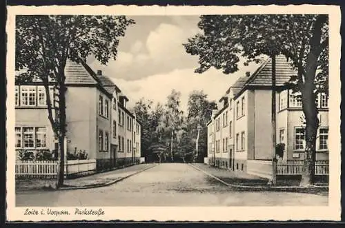 AK Loitz i. Vorpom., Partie in der Parkstrasse