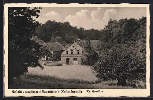AK Kaltenbriesnitz /Spottau, Pension Beiseritztal, Bes. Bruno Feist