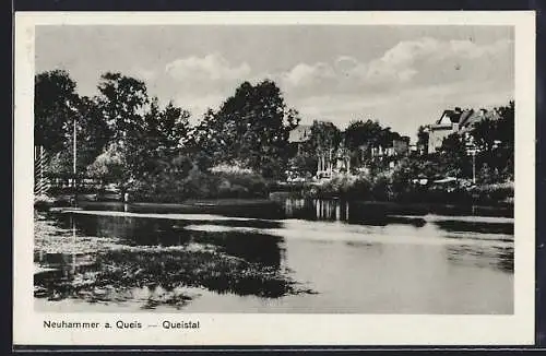 AK Neuhammer a. Queis, Wasserpartie mit Blick auf den Ort
