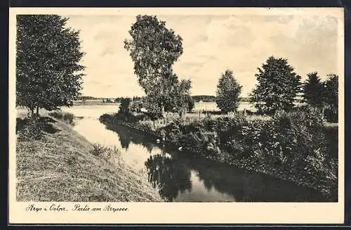 AK Arys i. Ostpr., Partie vom Aryssee