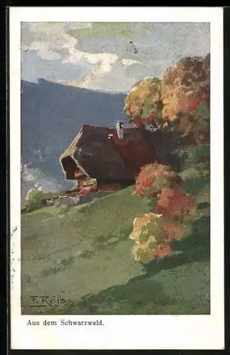 Künstler-AK Fritz Reiss: Ein Holzhaus im Herbst im Schwarzwald