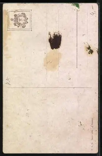 AK Kopf eines weissen Pferdes