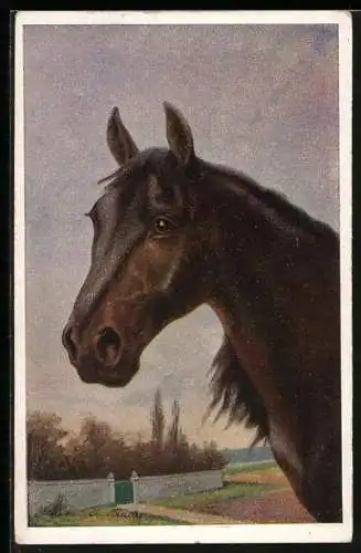 Künstler-AK Braunes Pferd mit gespitzen Ohren
