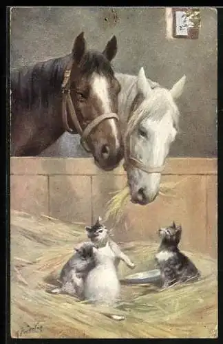 AK Katzen im Pferdestall