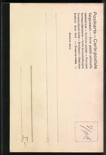 AK Pferd, Schimmel mit Halfter