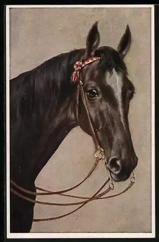AK Kopf eines schwarzen Pferdes im Profil