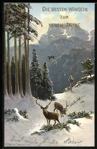 Künstler-AK M. Müller jun.: Hirsche aesen im Winter am Waldrand