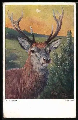Künstler-AK Hirsch auf einer Lichtung