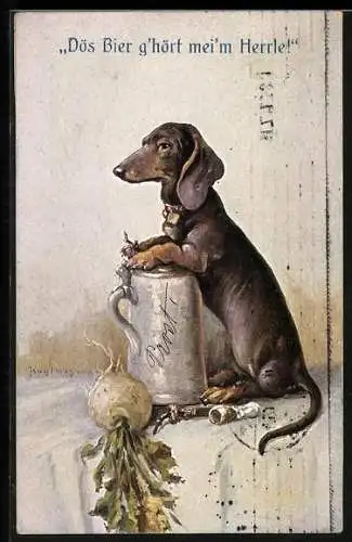 Künstler-AK Max Kuglmayr: Dackel bewacht den Bierkrug seines Herrchen`s