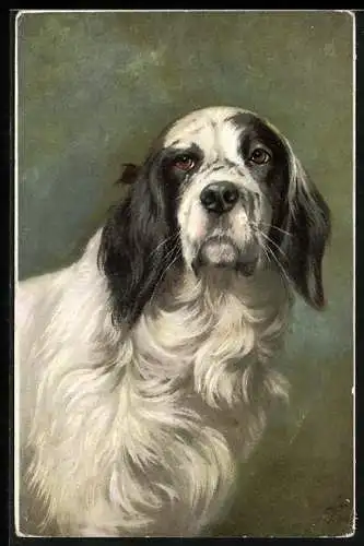 Künstler-AK Weisser Hund mit schwarzen Schlappohren