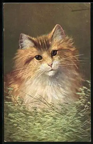 Künstler-AK August Müller - München: Kleine Katze im Gras