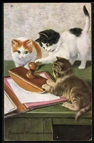 AK Katzen spielen mit einer Löschwiege