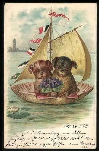 AK Hundewelpen mit Veilchen in Muschelboot