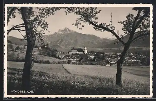 AK Mondsee /O.-Ö., Teilansicht mit Kirche