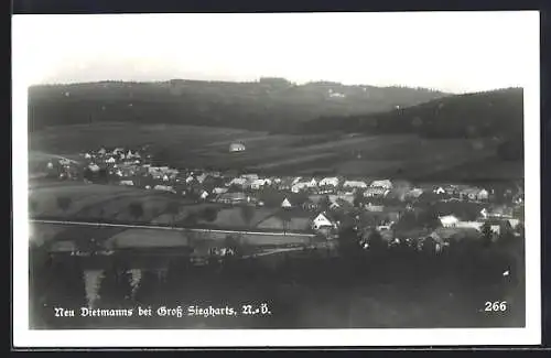 AK Neu-Dietmanns, Gesamtansicht der Ortschaft bei Gross Siegharts