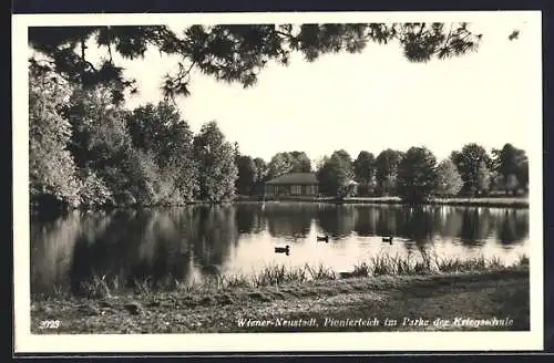 AK Wiener-Neustadt, Pionierteich im Parke der Kriegsschule
