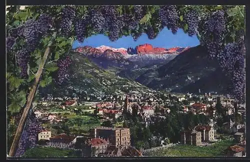 AK Bolzano-Gries, Panorama mit Weintrauben